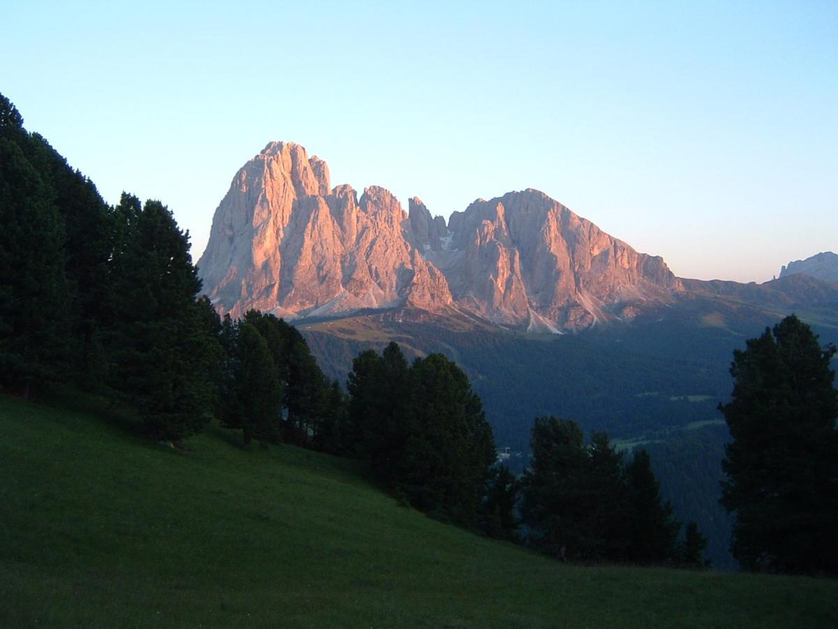 Appartamento Dolomiti Selva di Val Gardena Exterior photo